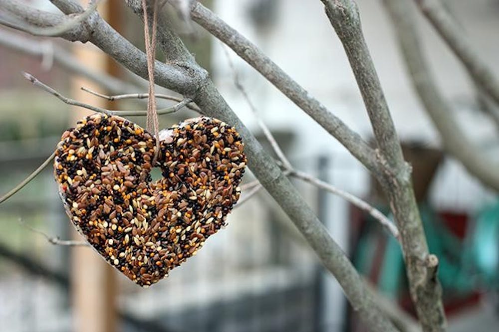DIY: Heart-shaped birdseed ornaments