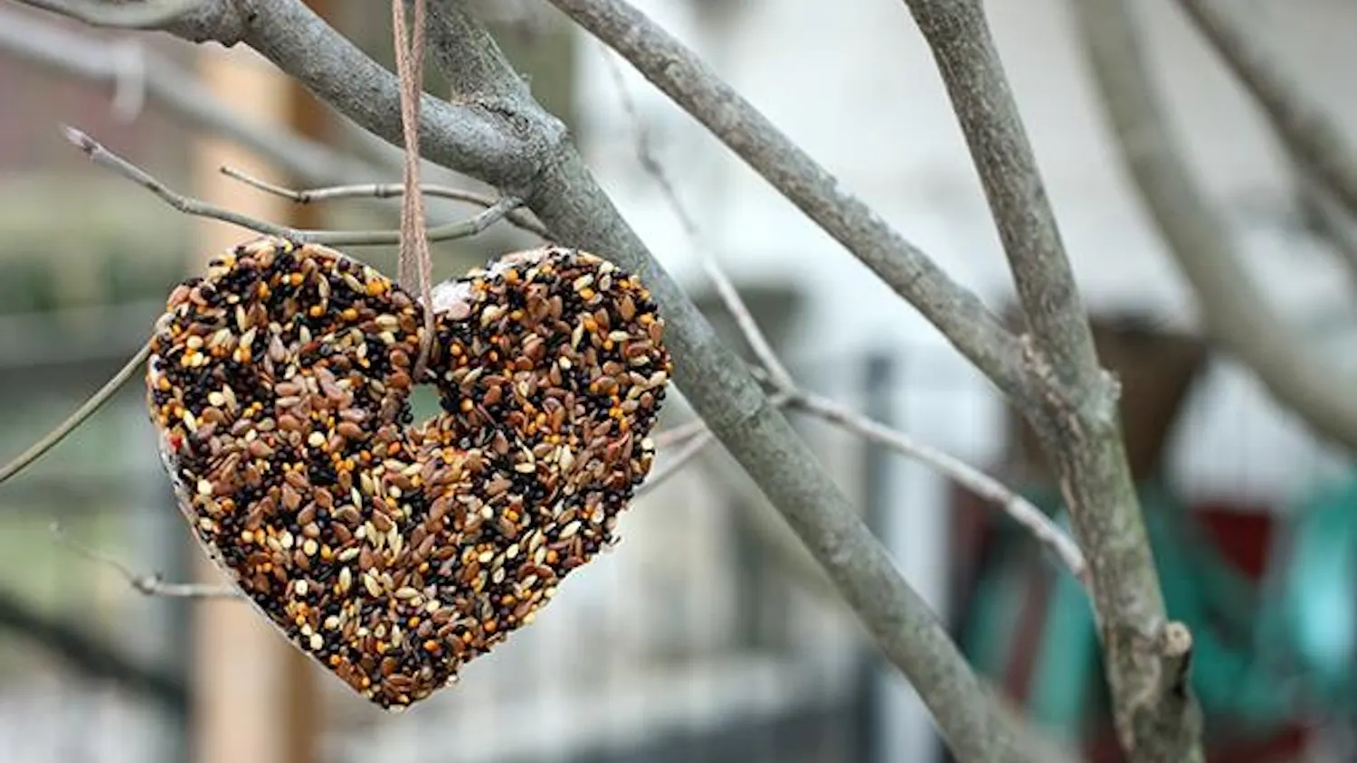 DIY: Heart-shaped birdseed ornaments