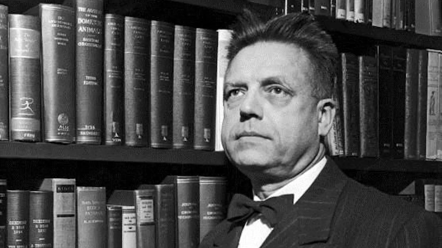 Alfred Kinsey