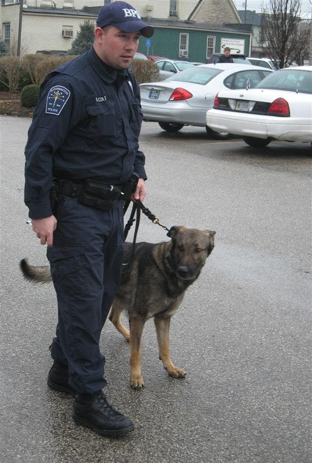 K-9