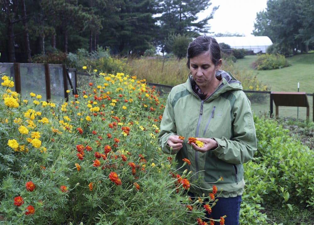 Carissa Carmen，Eskenazi艺术学院，建筑+设计高级讲师，站在她的花田在山顶花园和自然中心。Carmen领导着彩色场项目，研究了可持续使用花卉以生产织物的染料。