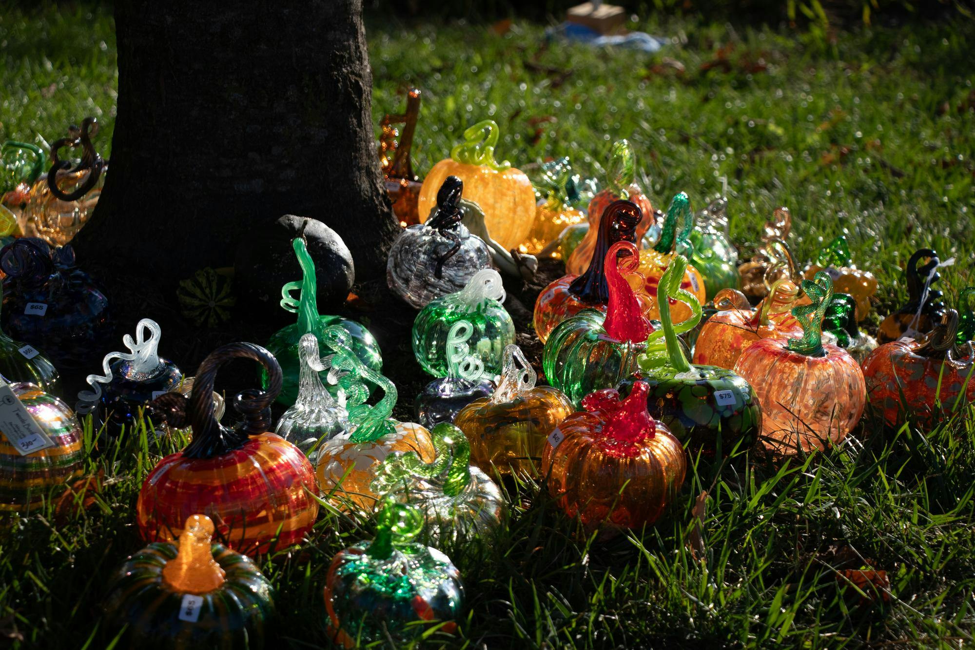 greatglasspumpkinpatch (2).jpg