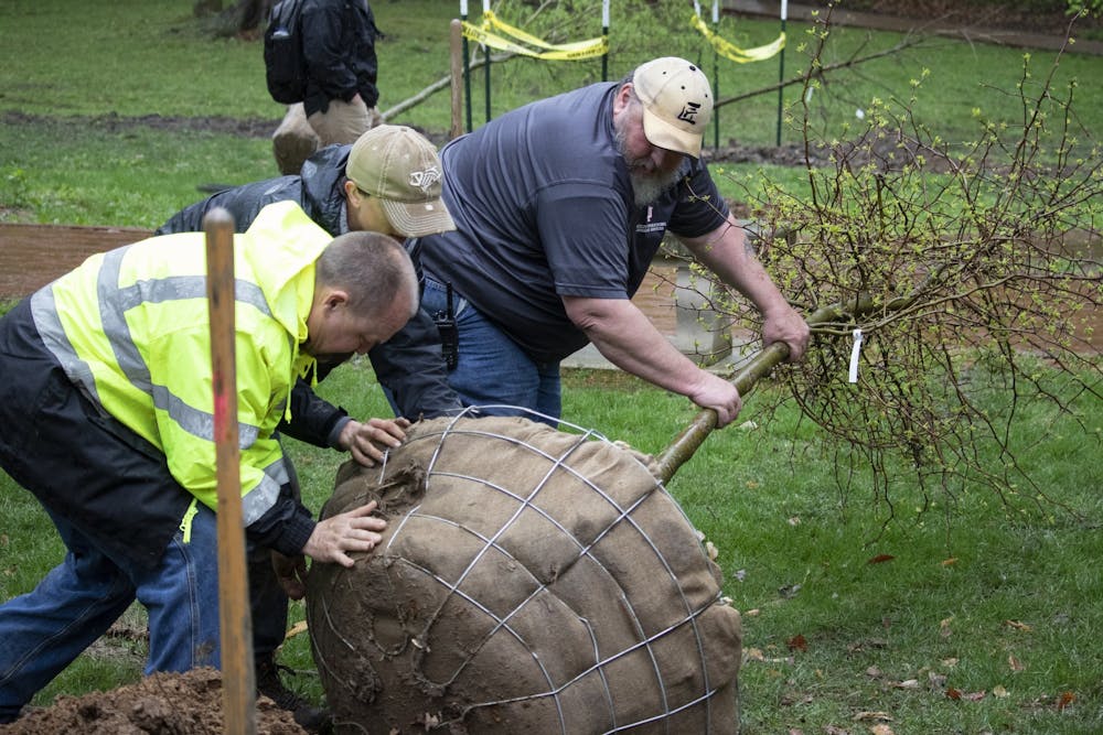 <p>IU’s landscaping service workers push a tree into a hole near Dunn Meadow. IU looks to improve its sustainability and eco-friendliness this year. </p>