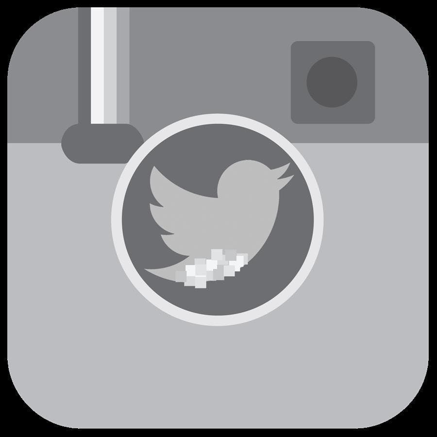 This photo violates Twitter's Terms of Service