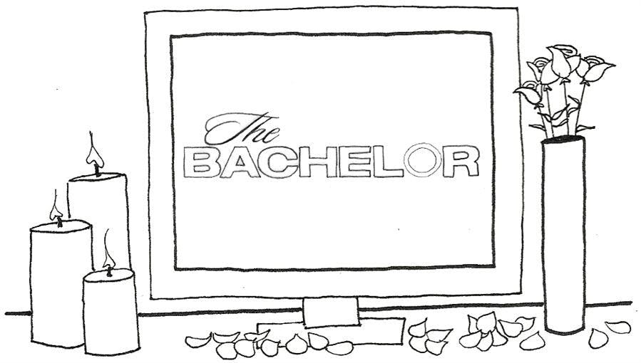 'The Bachelor'