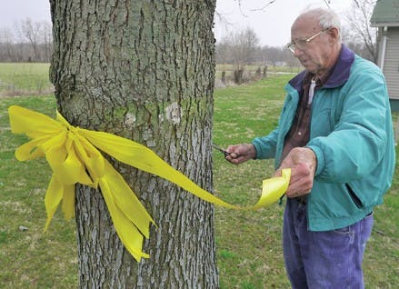 Iraq Soldiers Remains