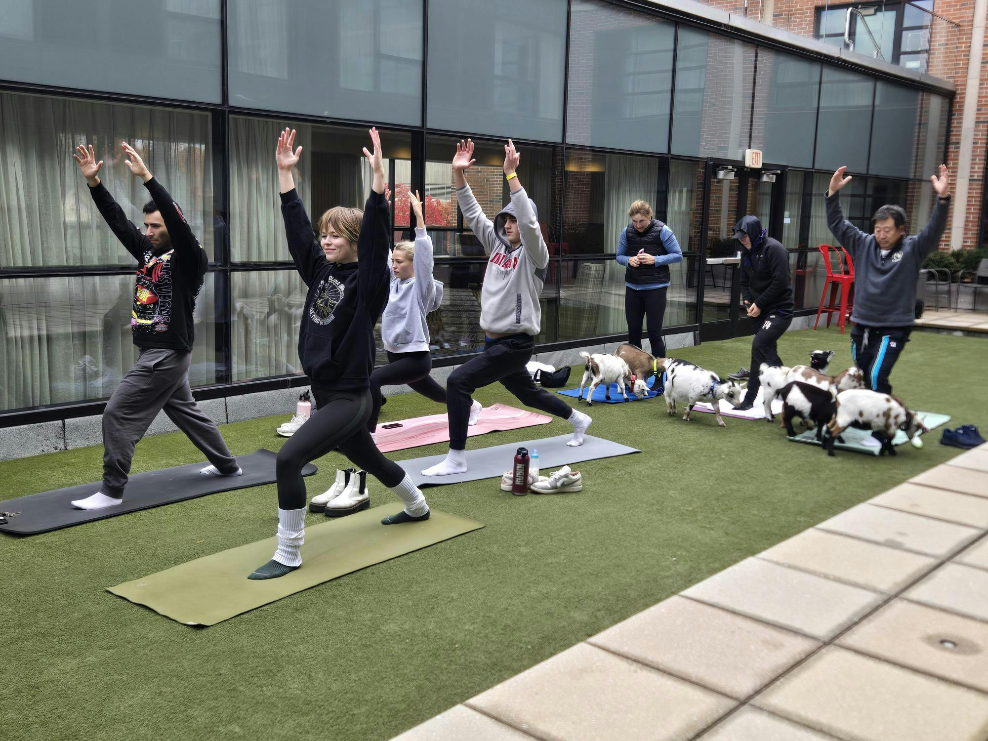 entgoatyoga110225-jpg