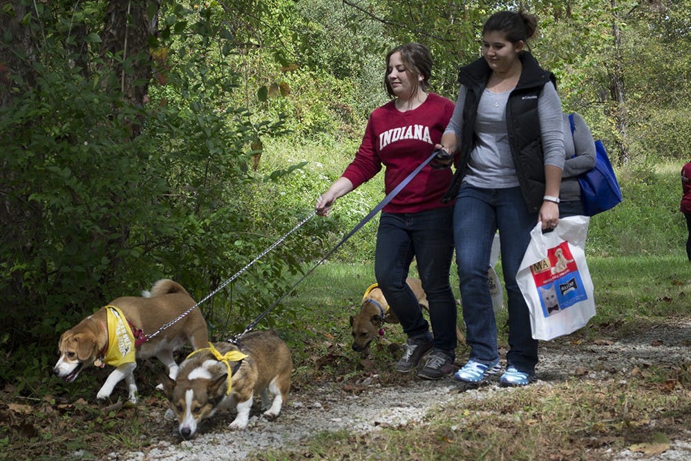 Rachel Hopf (left) and Emily Kagemann (right) walk their dogs Bobby and Loki during the dog parade.