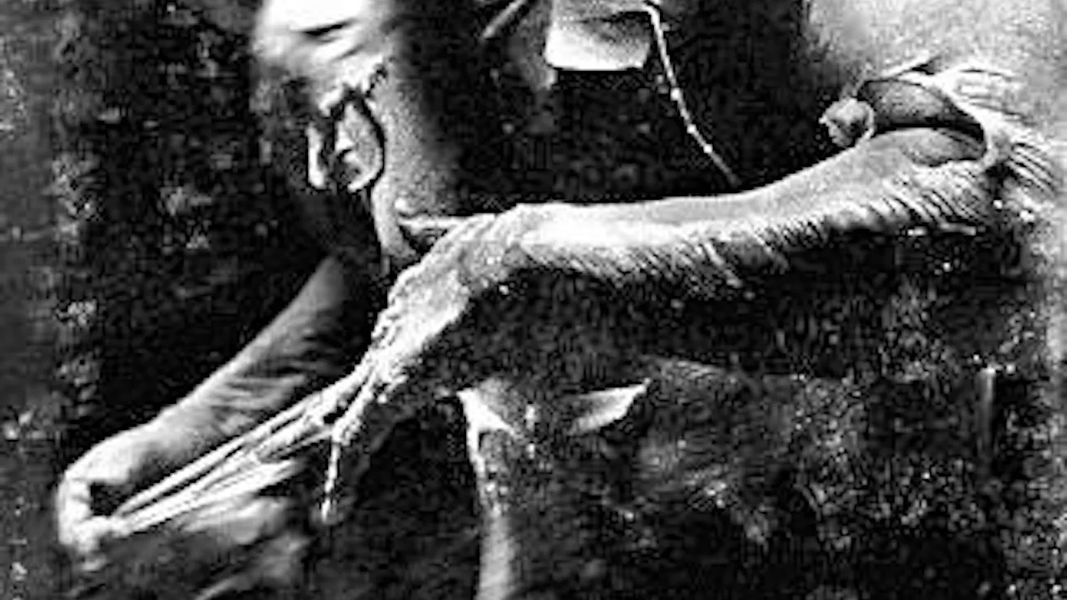 "Pandorum"