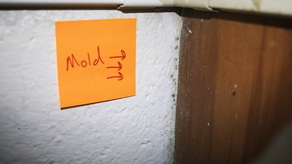 11月29日，新生丹尼尔·王(Daniel Wang)在麦克纳特广场(McNutt Quad)的房间里，墙上和窗户上都贴着霉菌的标签。王先生自己在模具上做了标签，这样检查人员更容易发现。