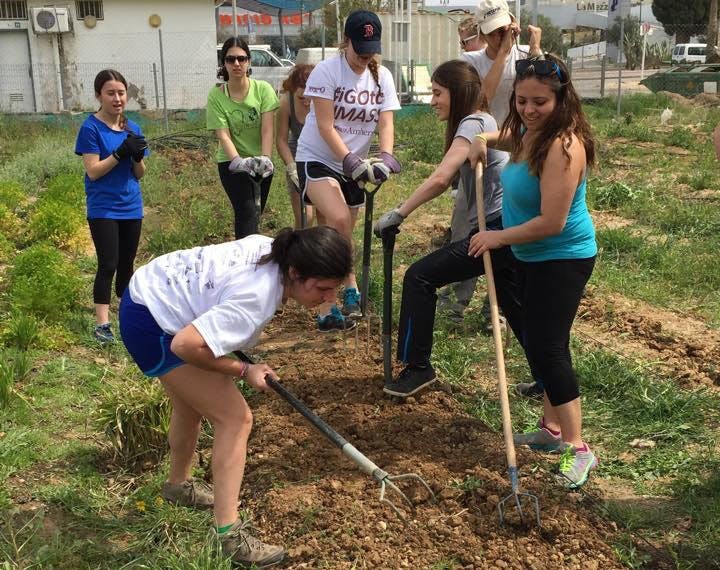 A group of individuals traveled to Israel to represent IU in the Jewish National Fund alternative spring break trip.