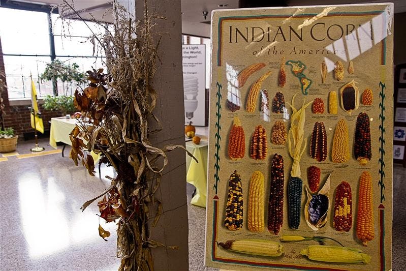 Various displays fill the lobby Nov. 17 of the Showers Building, 201 N. Morton St., as part of a current display about Native American art.