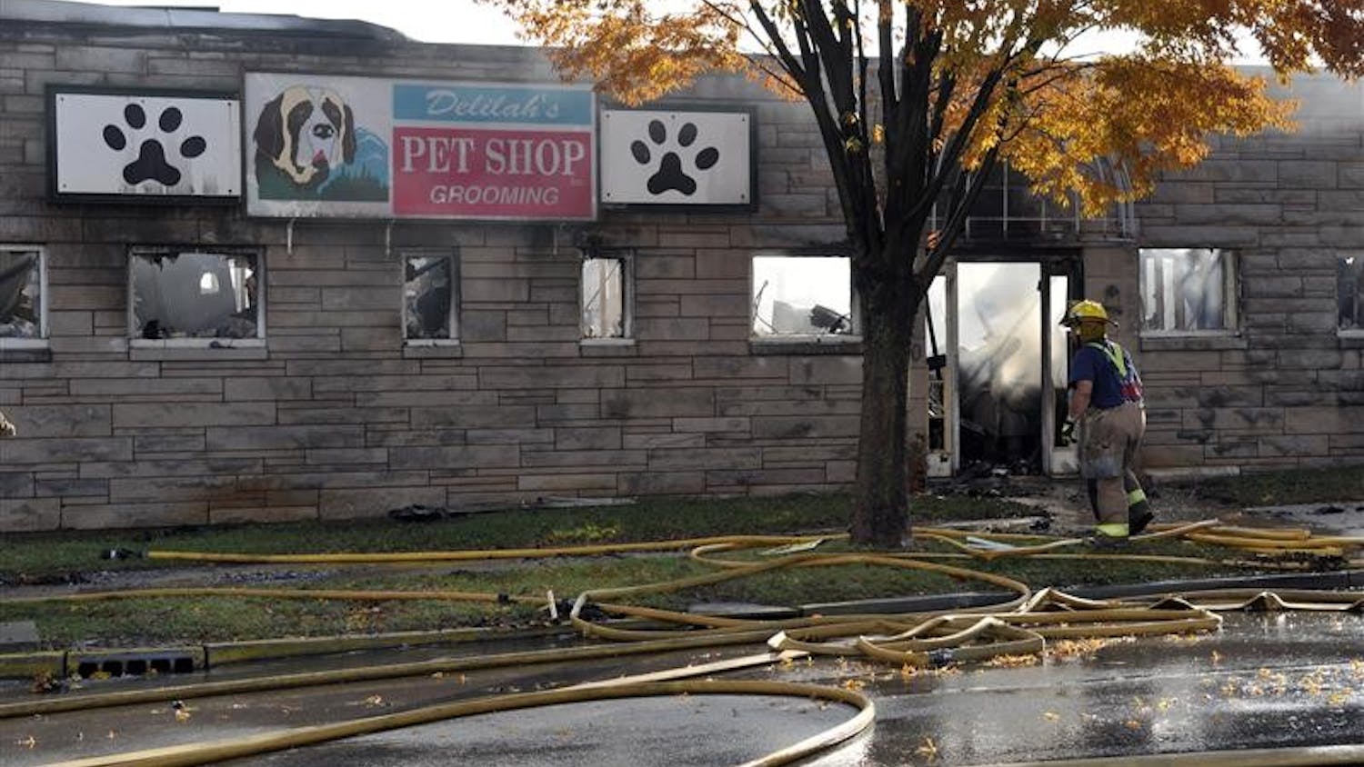 A Bloomington firefighter surveys the damage of a fire Monday morning at Delilah's Pet Shop, 1320 N. College Ave. The cause of fire is still unknown.