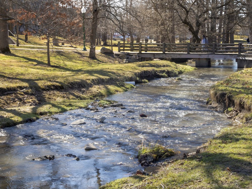 High waters appear in the Campus River on March 1, 2021. The IU Office of Sustainability will host the Campus River Litter Cleanup event from 10 a.m. to noon on April 14 near Eagleson Ave Parking to celebrate Earth Month.  