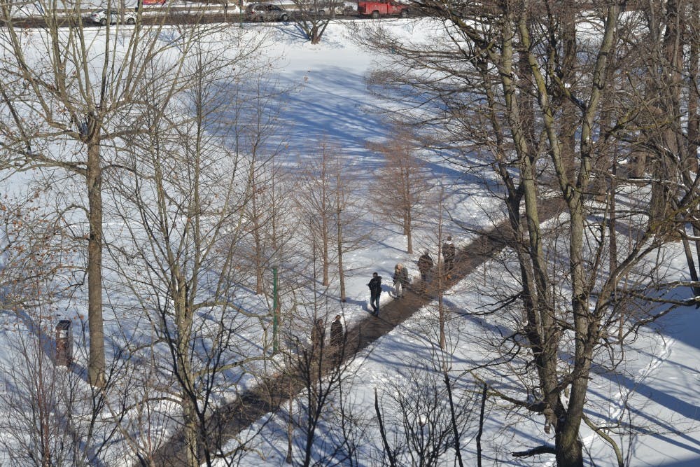 <p>Students walk around campus Thursday through the snow and ice that still clings to the ground. Since 1908, IU has only closed campus 12 times. Eight closures were caused by bad weather.</p>