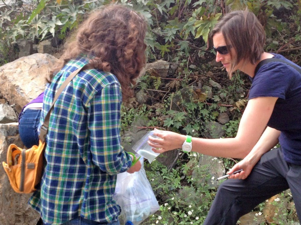 Leonie Moyle, right, and Natasha Sherman, a former postdoctoral researcher at IU, collect a wild tomato plant for genetic analysis near the city of Cuenca in southern Ecuador. 