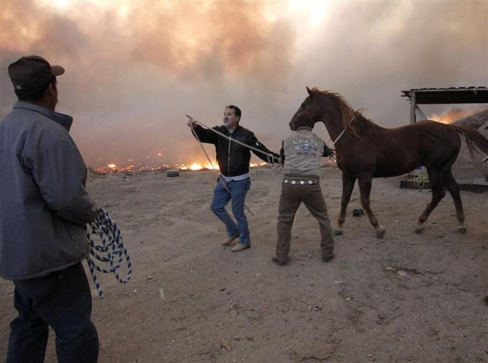 Three unidentified men evacuate a horse during a fast moving, wind driven brush fire on Monday in Los Angeles. Intense Santa Ana winds swept into Southern California on Monday morning and whipped up a 3,000-acre wildfire, forcing the closure of a major freeway and burning mobile homes and industrial buildings.