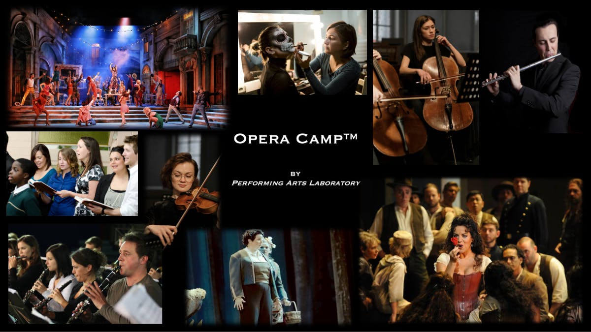 Photos of Opera Camp™ Professionals.png