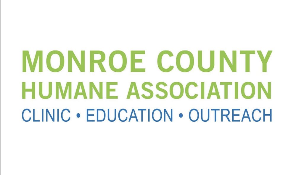 monroehumanecountyassociation