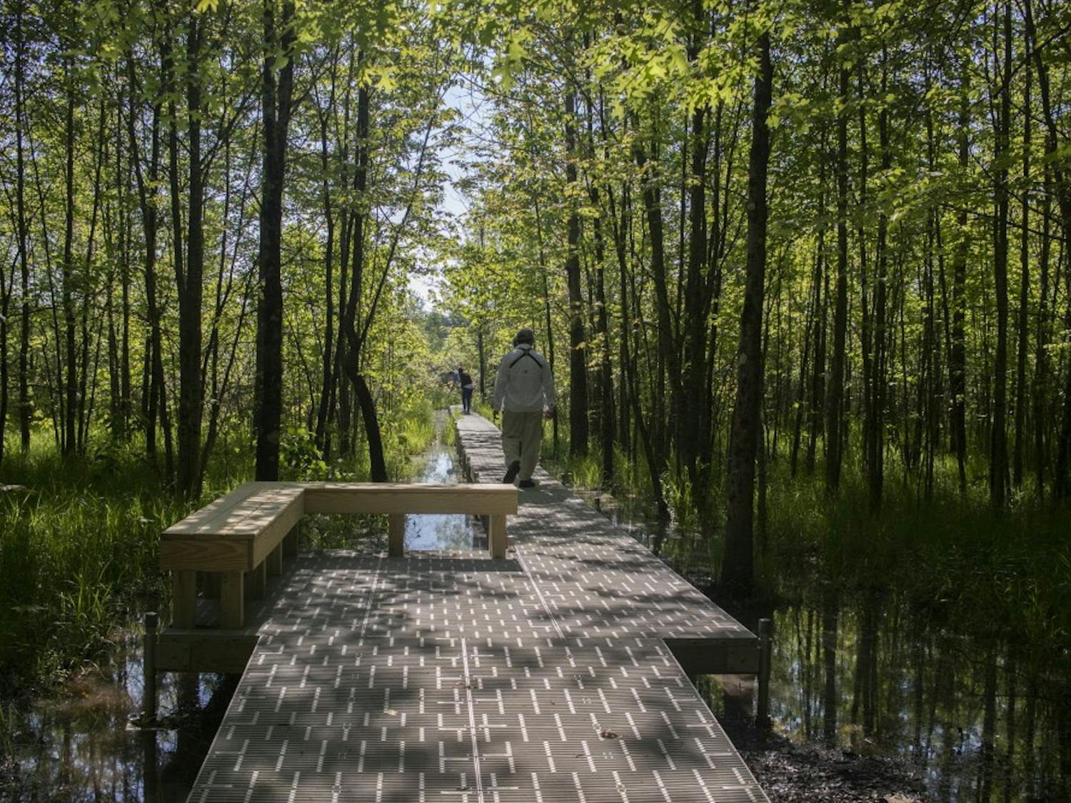 GALLERY: New boardwalk for Beanblossom Bottoms Nature Preserve