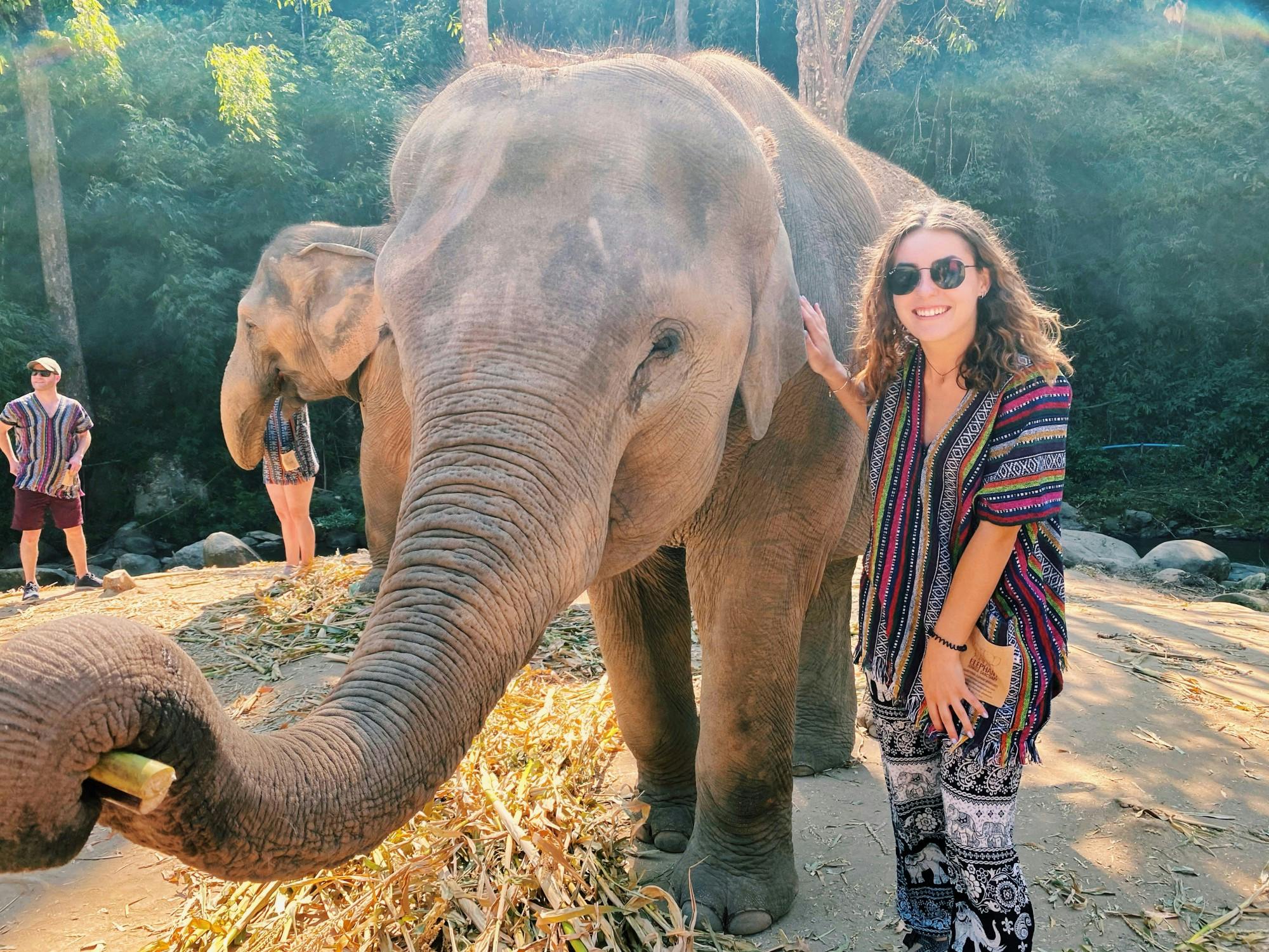 Entsydneycolumn030120 (2).jpg