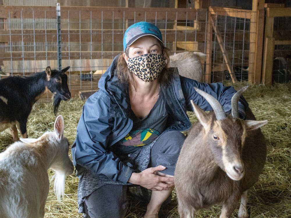 周四，在布卢明顿的山羊阴谋农场，老板Tonya Plachy与尼日利亚小山羊合影。“山羊阴谋”将在春季开设山羊瑜伽课程。