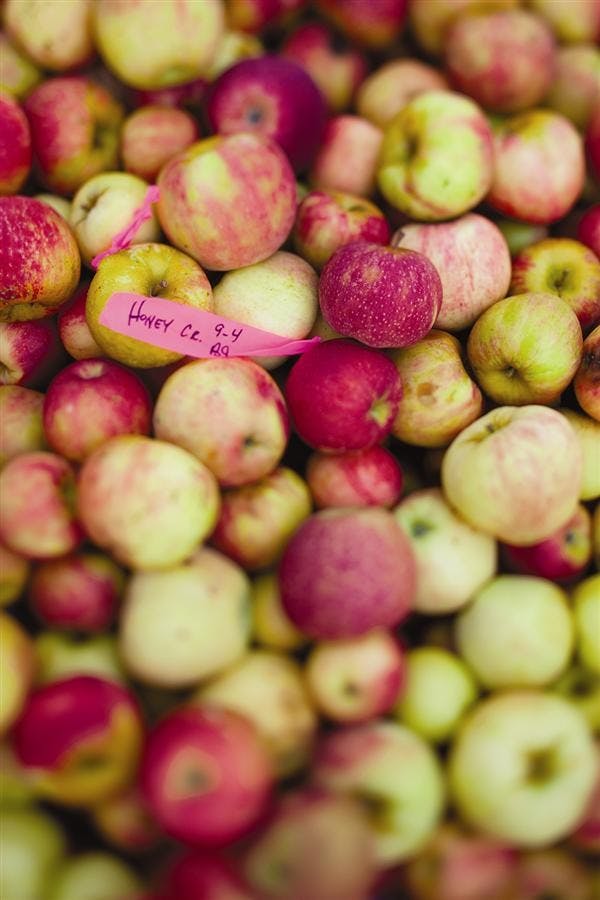 Piles of apples
