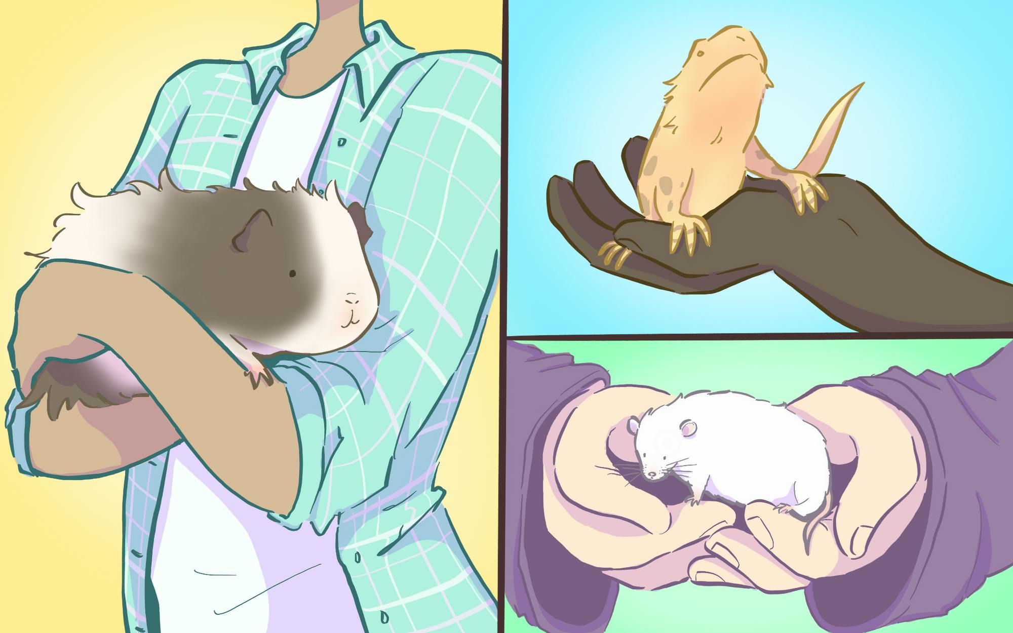 oppetstores121124-illo