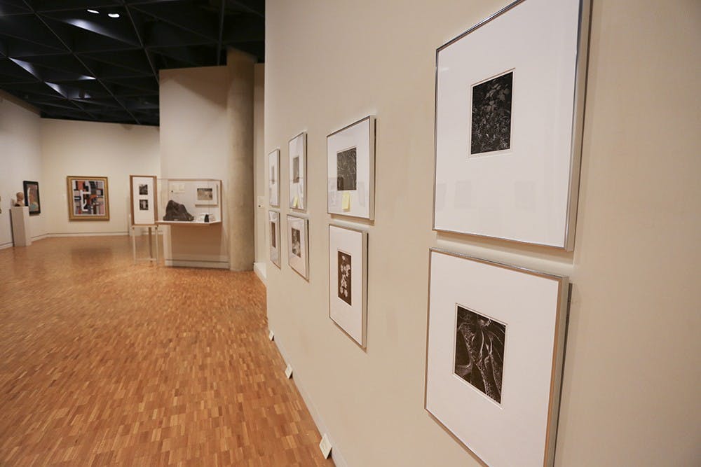 IU Art Mueum is opening a new exhibition, Nature's Small Wonders: Photographs by Ansel Adams. 