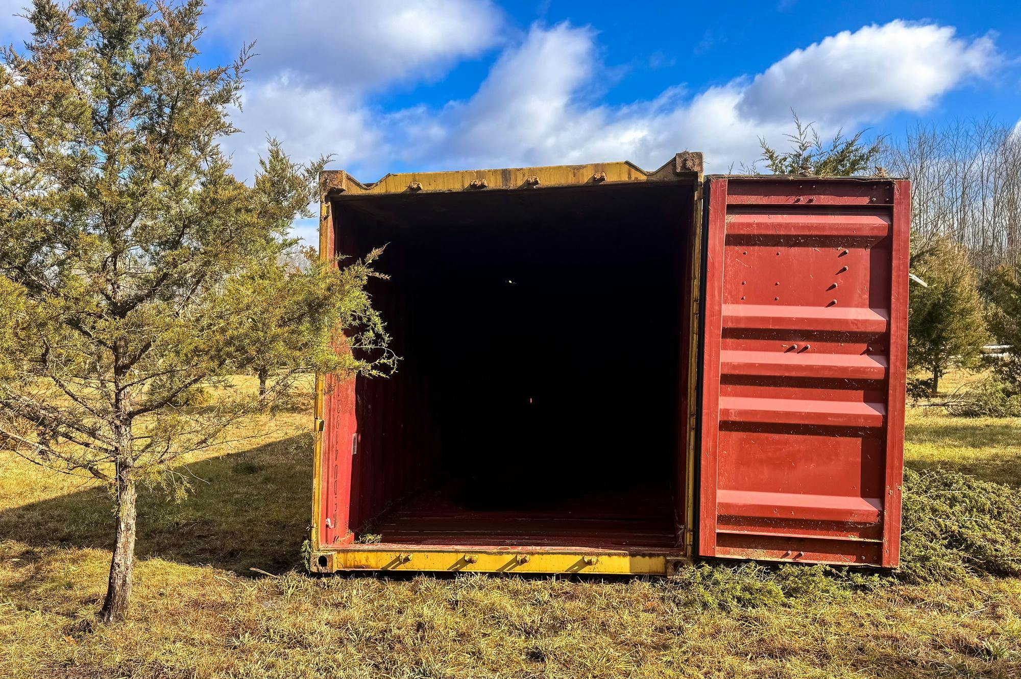 catornado022026.jpg-3