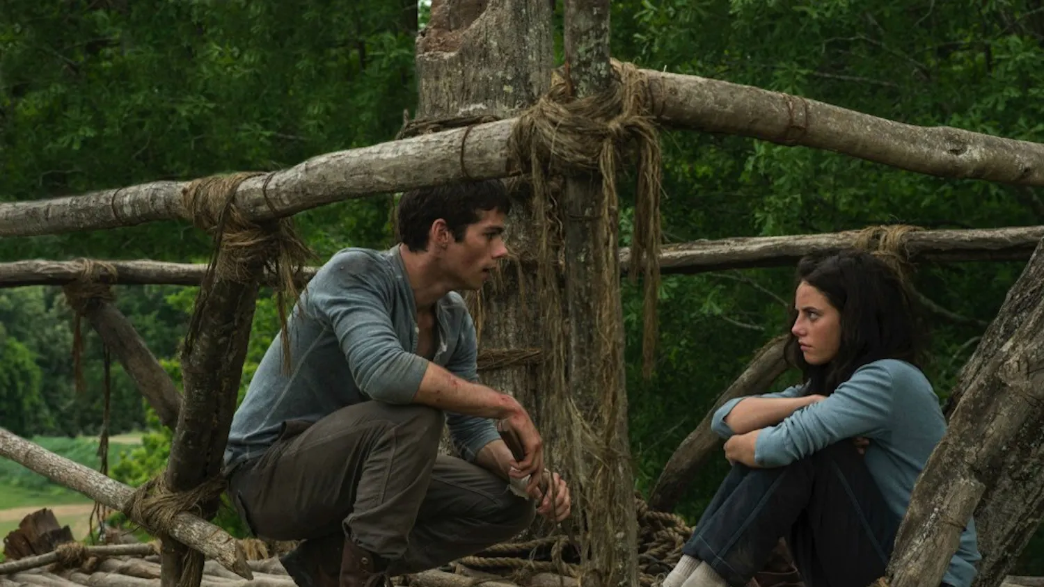 ENTER MOVIE-MAZERUNNER 2 MCT