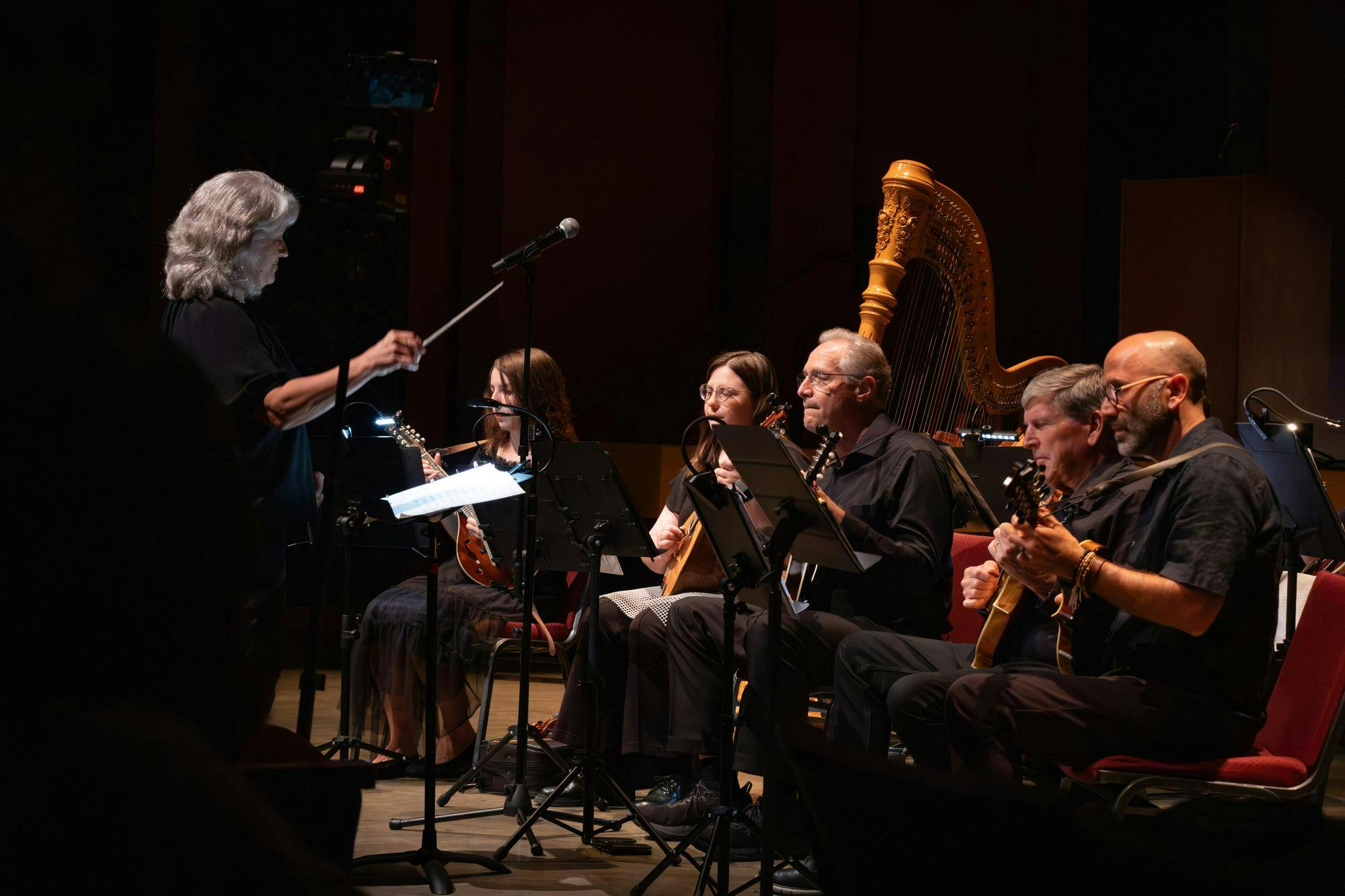Midwest Mandolin Festival-12.jpg