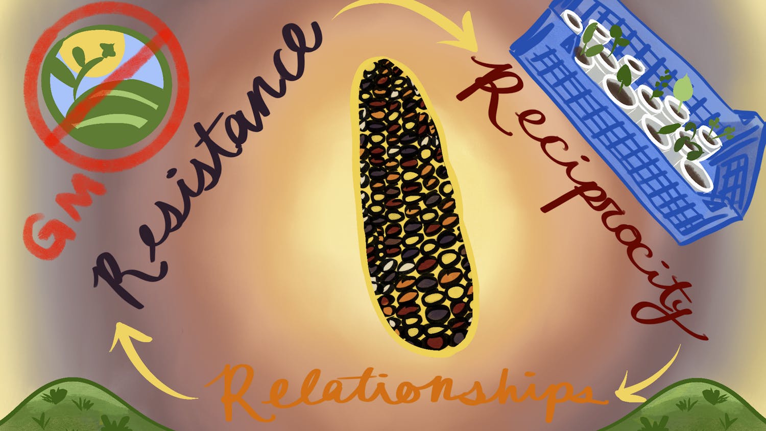 opseedcopyright-illo final .png