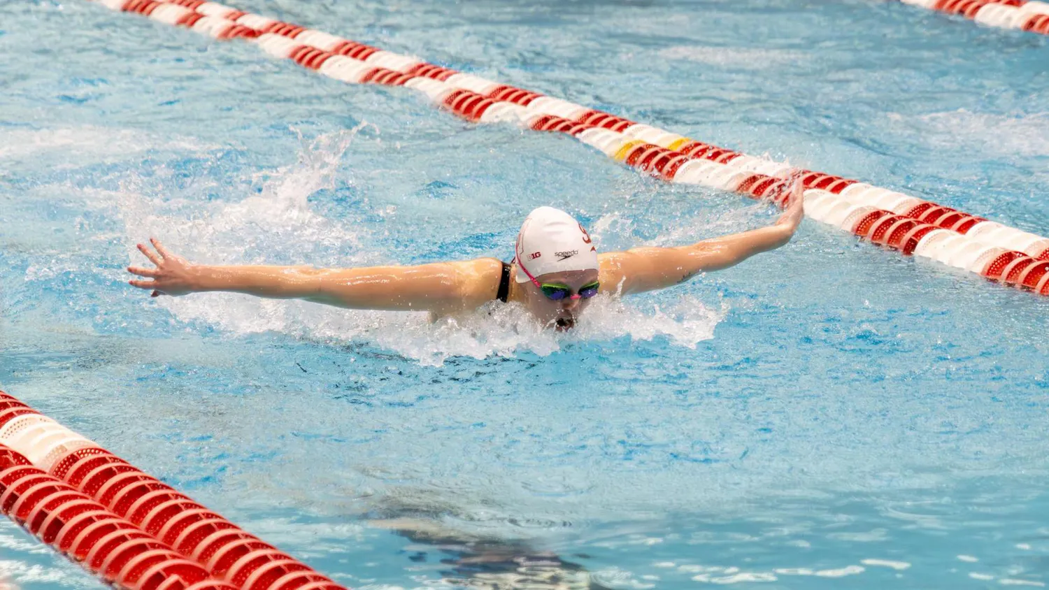 spiuswimrecap100926.jpg