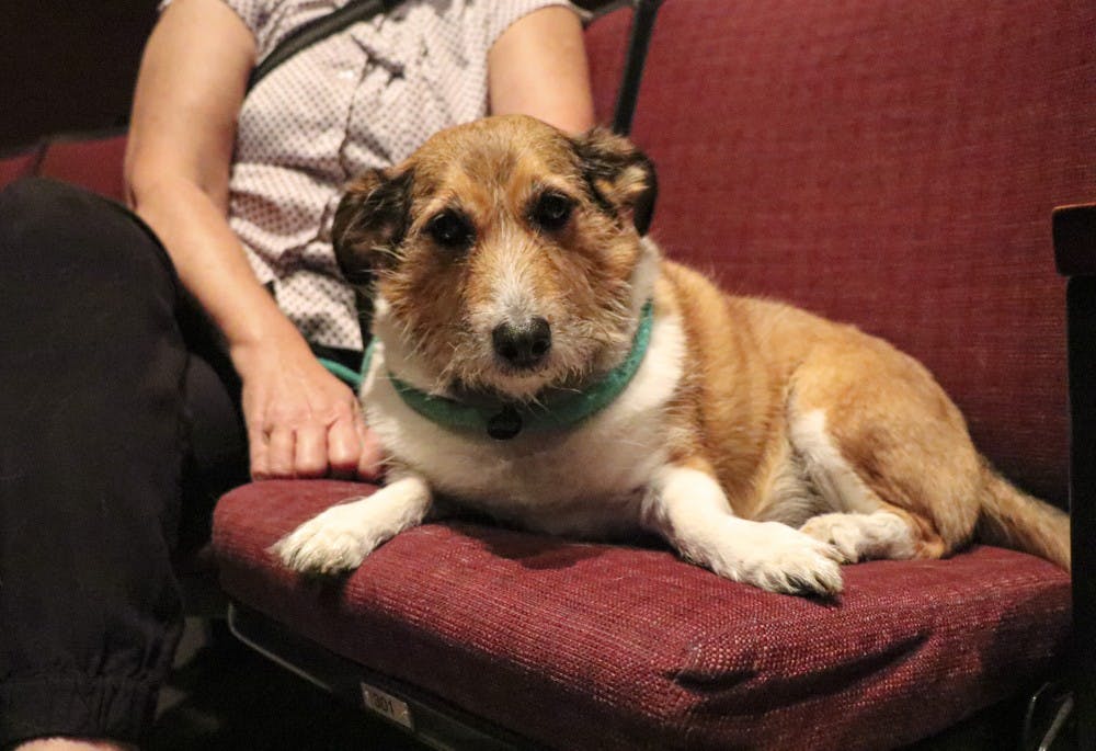 Dogs On The Big Screen And In The Seats Of Buskirk Chumley