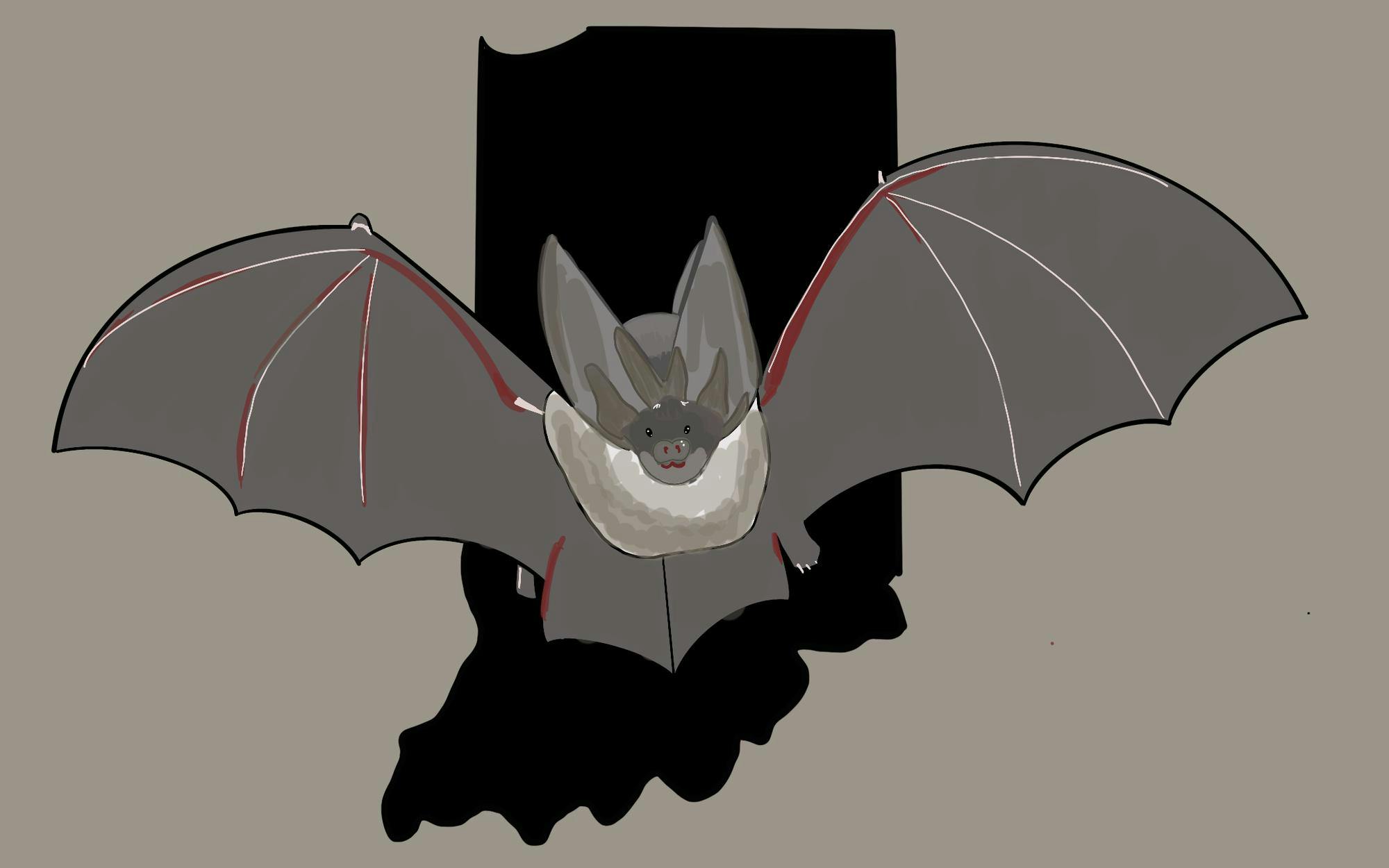 cabat091626-illo.png
