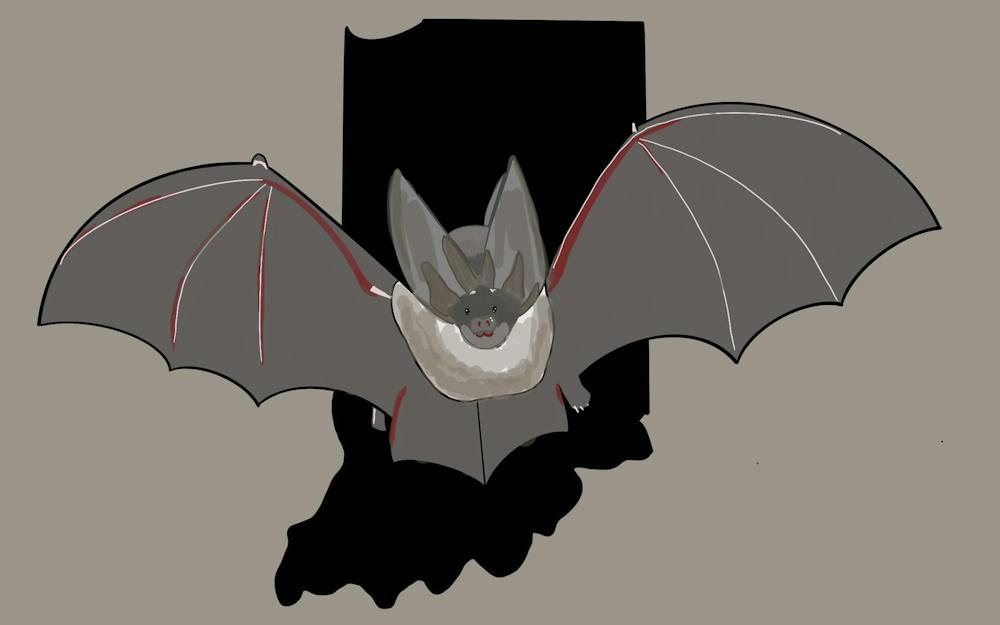 cabat091626-illo.png