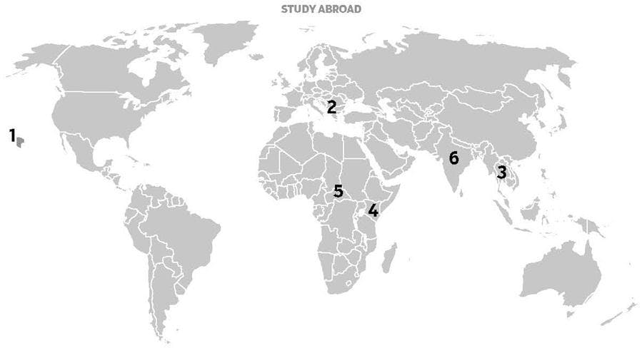 Study Abroad
