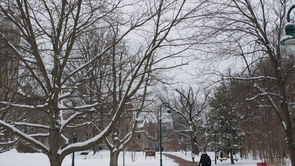 Students walk through a snowy campus Feb. 9 near Dunn&#x27;s Woods. While many students chose to come back to campus for the semester, about 700 students living on campus have not returned, Executive Director of Residential Programs and Services Lukas Leftwich said. 