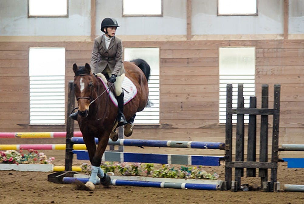 Cocaptain Chloe Taylor competes at a horse show for the IU Equestrian Team.