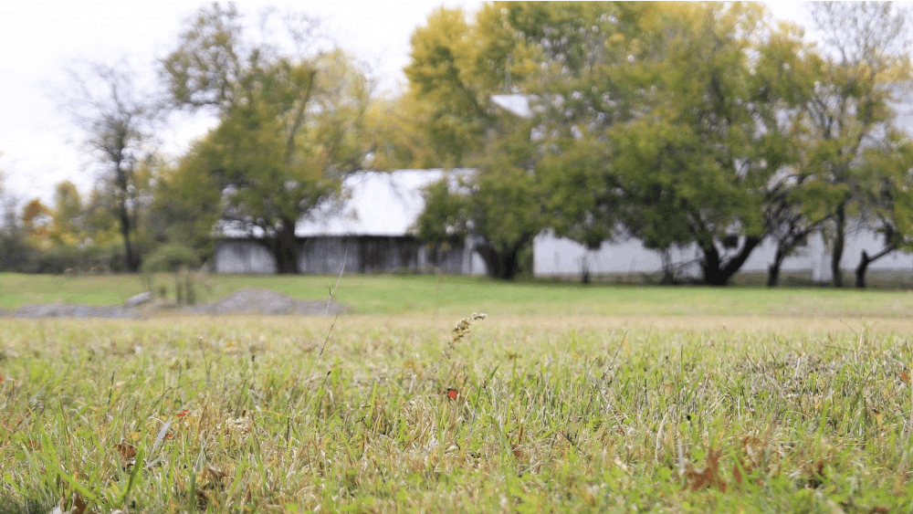 Dying grass and tufts of weeds sprout from the historic grounds of the Hinkle-Garton property, located just outside IU's campus at 10th Street and Pete Ellis Drive. The donated ten acres will be used as farmland in the near future with the help from a $50,000 grant.