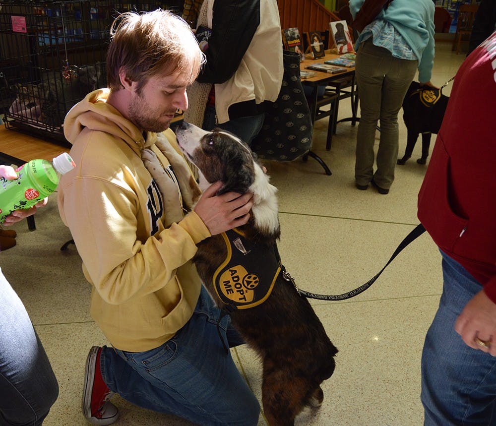 Gus, a dog up for adoption, plays with a visitor during the Adorable Adoptables event Saturday afternoon at the Monroe County Public Library. The Bloomington Animal Care & Control brought several dogs and cats that are up for adoption to the library who are in need of a loving home.
