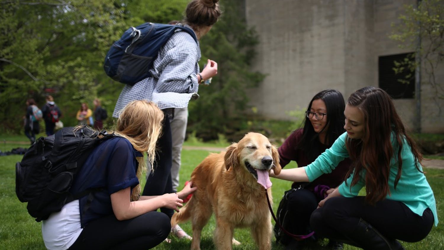 Students play with Max, a rescue dog donated for the event by his owners, at the Rent-A-Puppy event at Dunn Meadow in 2016. Some people find playing with animals can be a good way to reduce stress.