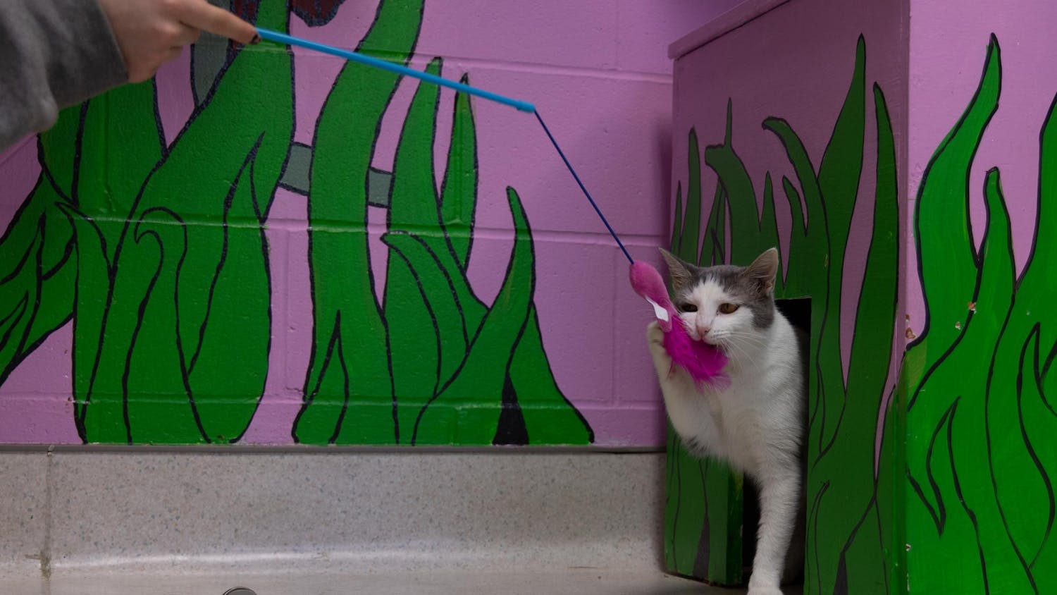 canonprofits121224-jpg