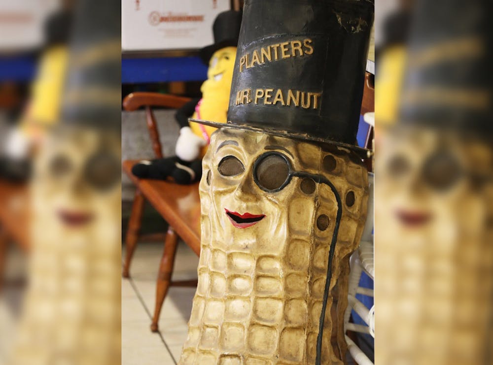 mr peanut costume