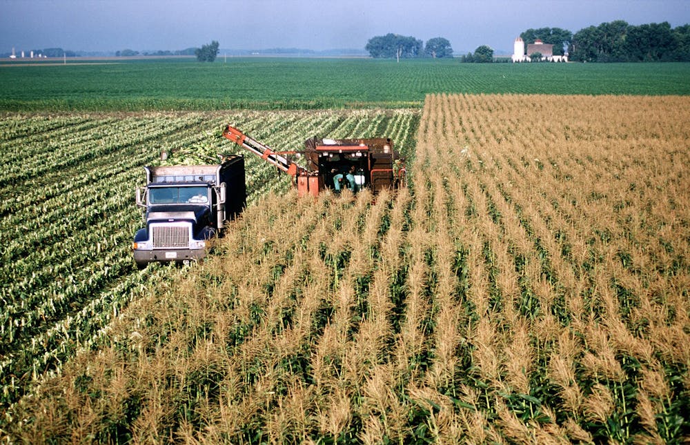 <p>A harvesting machine moves through rows of planted corn in 2001 at a large commercial farm near Hector, Minnesota. A recent NASA study found climate change may decrease corn production by as much as 24% by 2030. </p>