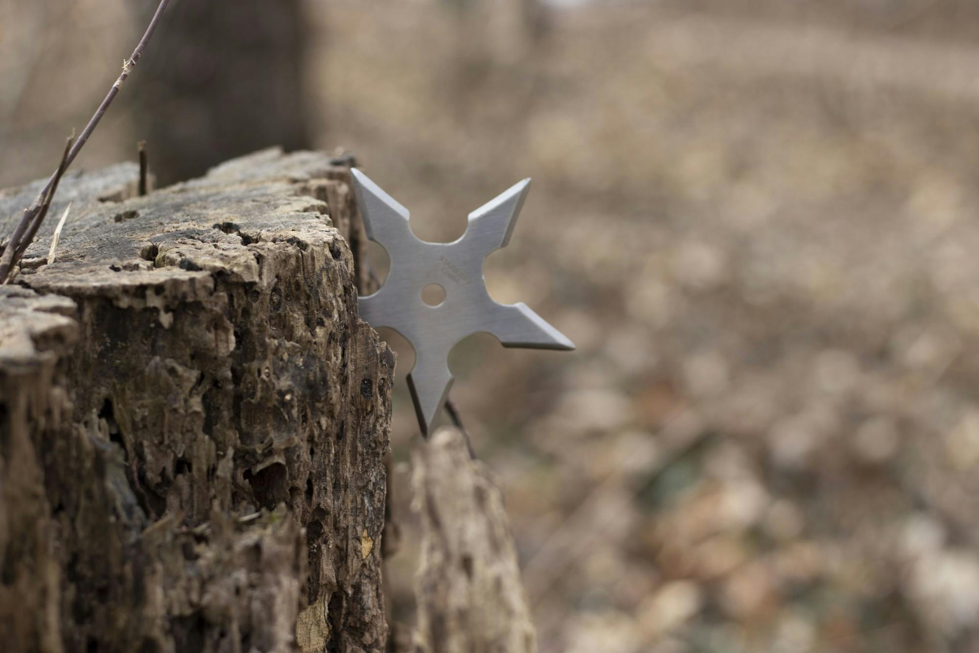 cathrowingstar020223-png