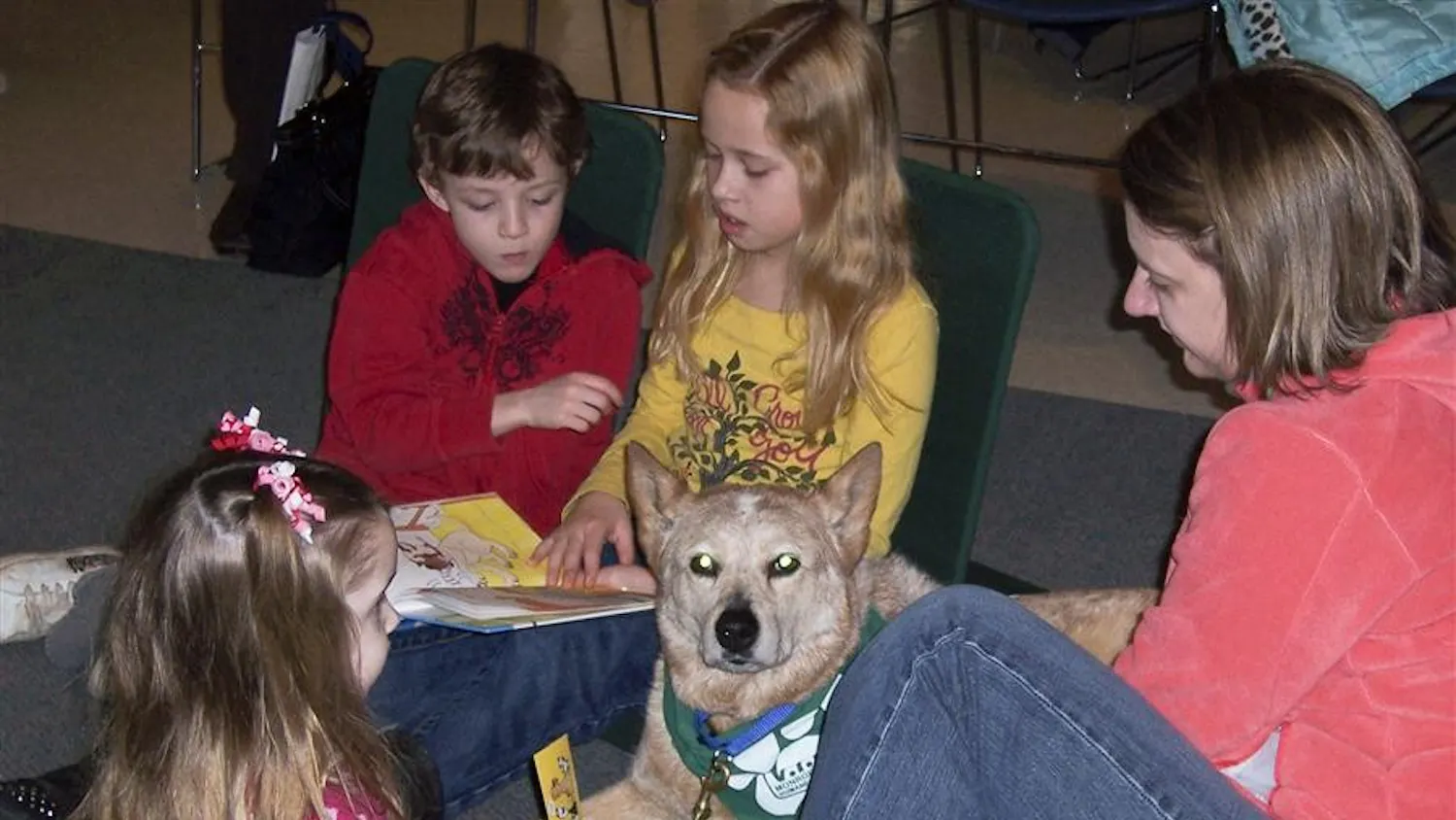 Reading to Dogs