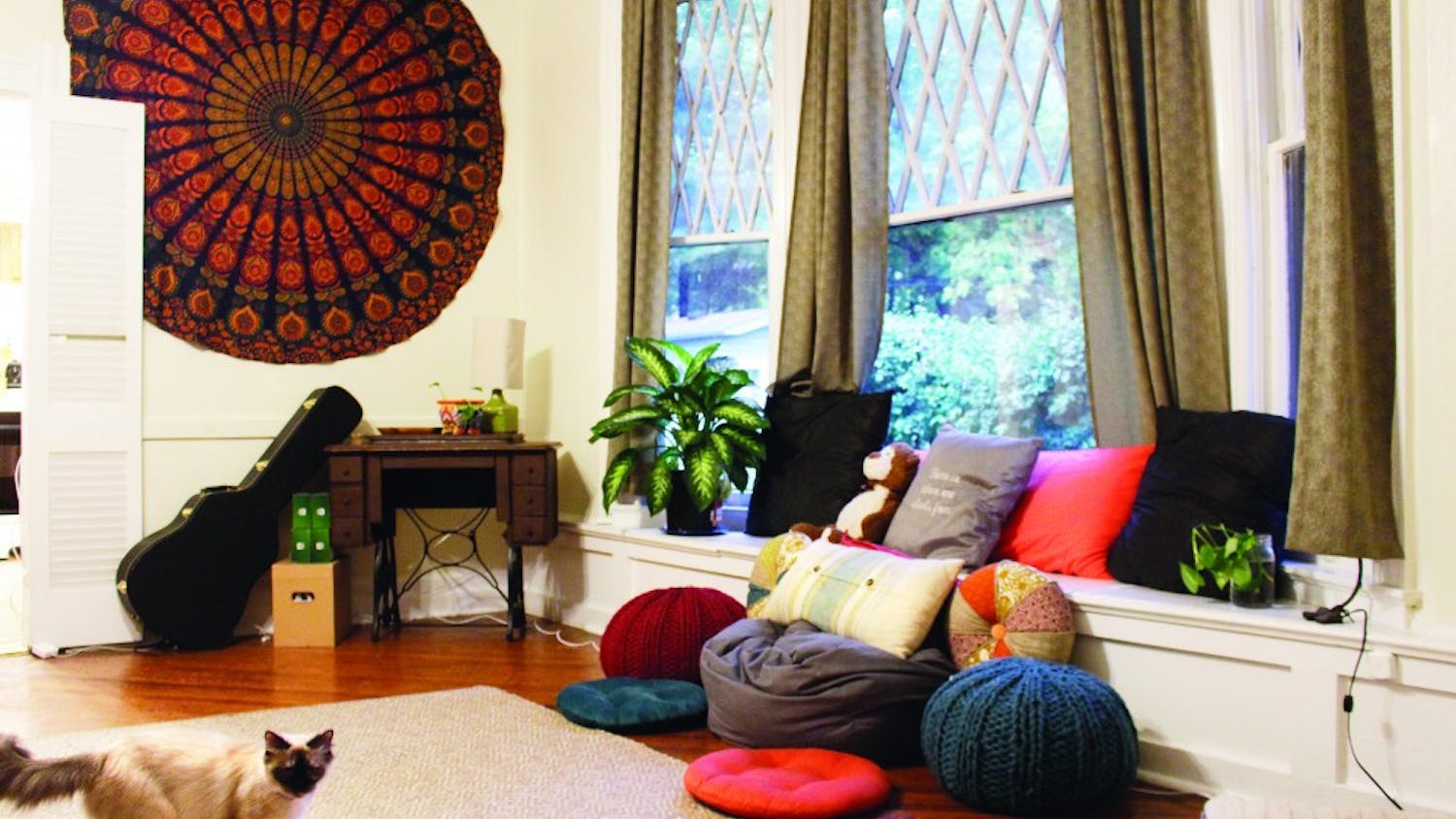 Using decorations like pillows and tapestries can add color to a living or dining room.Senior hannah roman said that plants bring both life and color to a room.