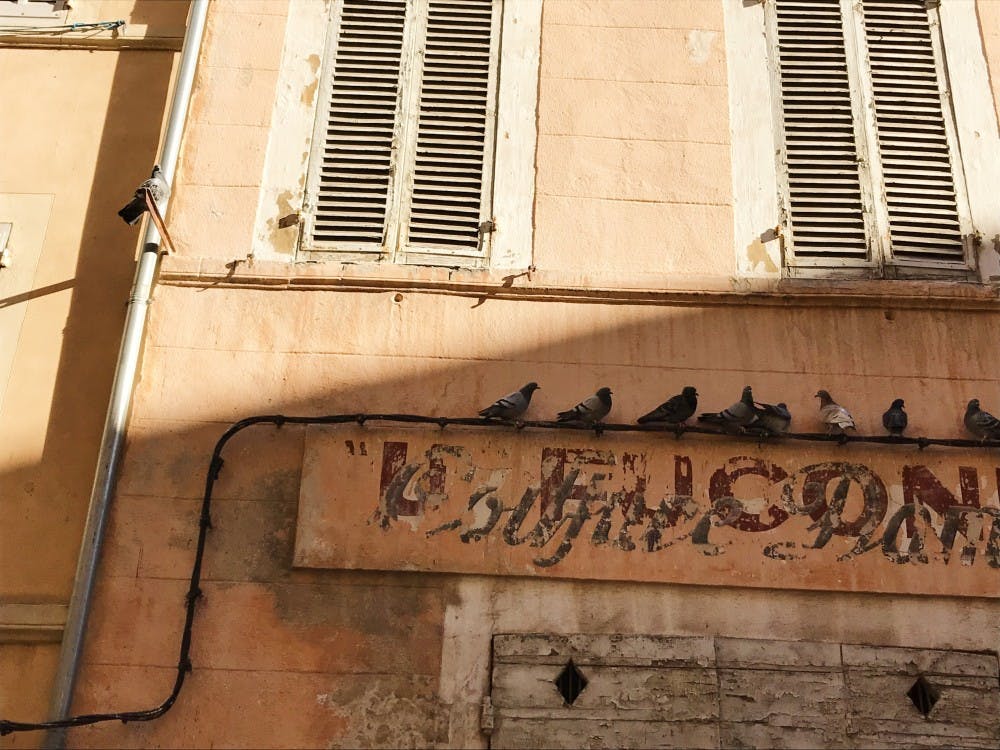 Several pigeons lounge on a restaurant sign in Marseille, France. 